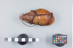Foto (Seitenansicht) von Achatschnecke in Bastgeflecht (NHMW-ZOO-MO-0081100-ETH-138)